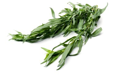 Tarragon clipart