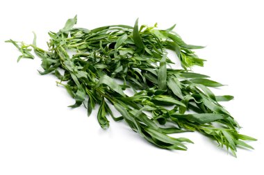 Tarragon close up clipart