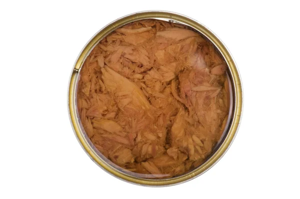 中石油茸的金枪鱼罐头 — 图库照片