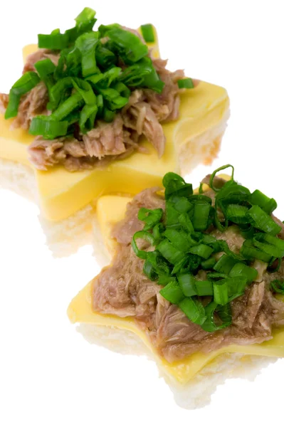 Sandwich met tonijn close-up — Stockfoto