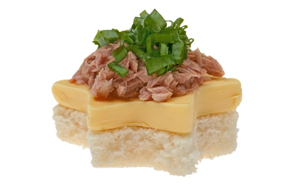 Sandwich with tuna macro — Stock Photo, Image