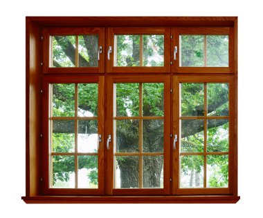 Oak for the wooden window clipart