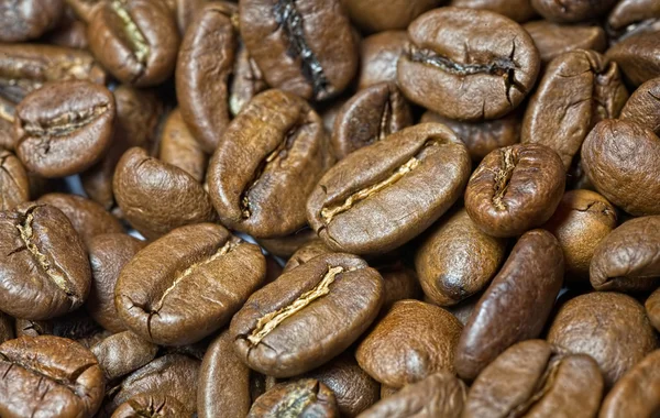 Зерновой кофе — стоковое фото