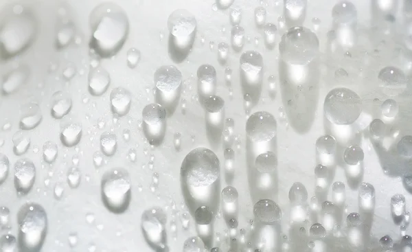 stock image Dew on a petal of white rose