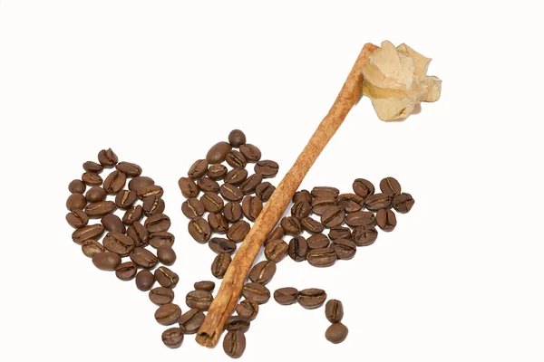 Цветок кофе — стоковое фото