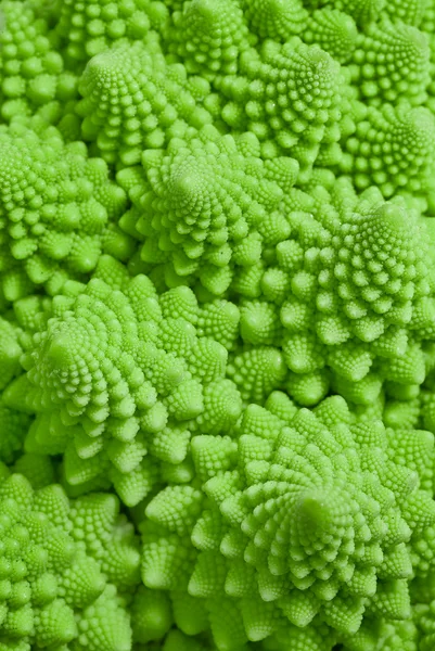 stock image Macro photo of fresh Romanesco