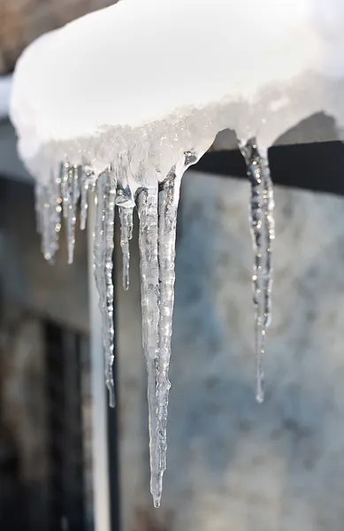 stock image Icicles