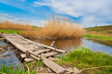 A small wooden bridge over a creek. Grass, blue sky, reeds clipart