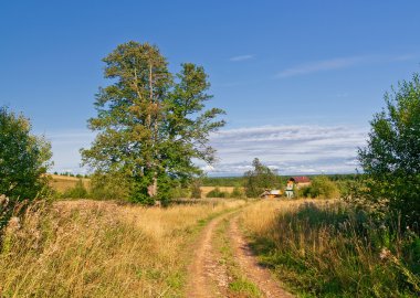 yol lane ve derin mavi gökyüzü. Eve giden yol