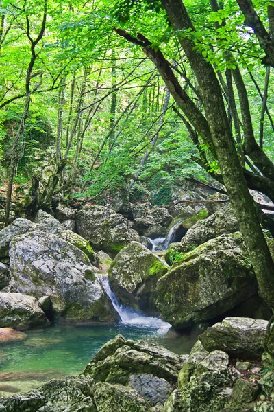 Zielony Las Rzeka — Zdjęcie stockowe