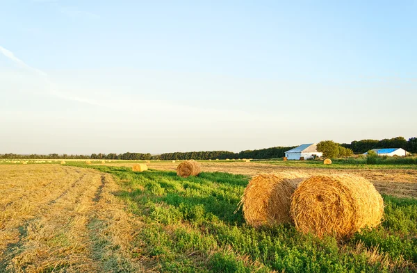 Golden Field Hay Bales Picturesque Cloudy Sky Perfect Sunny Day — Stock Photo, Image