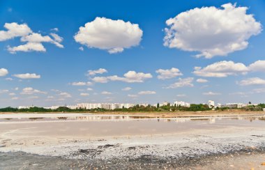 Salted lake in Crimea. clipart