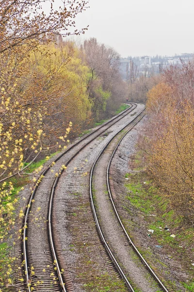 Tren Yolu Ile Düşen Yapraklar Sonbaharda Kaplı — Stok fotoğraf