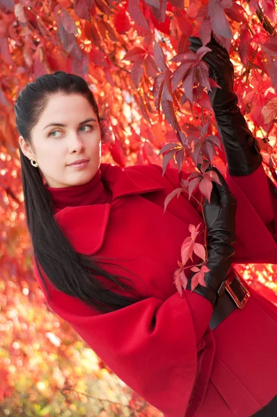 Mujer bonita joven con abrigo rojo en el parque de otoño . — Foto de Stock