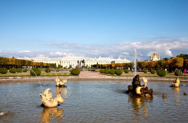 Neptün Çeşmesi'Pertergof, Saint-Petersburg, Rusya Federasyonu