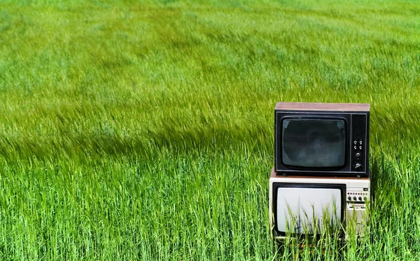 stock image The TV in the field