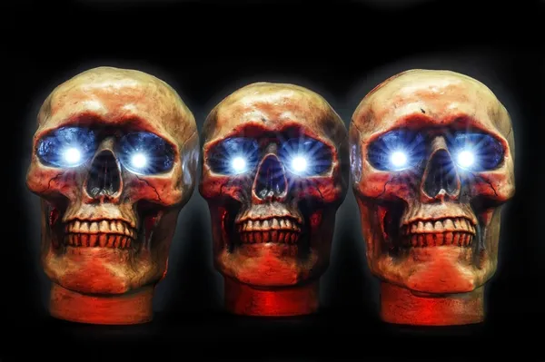Crânes de fête d'Halloween . — Photo