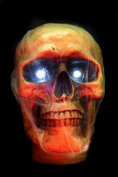 Crâne de fête d'Halloween — Photo