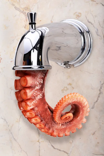 Chobotnice v koupelně — Stock fotografie