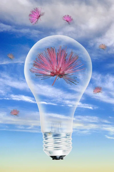 Light bulb with flower inside of it. — Stock Photo, Image