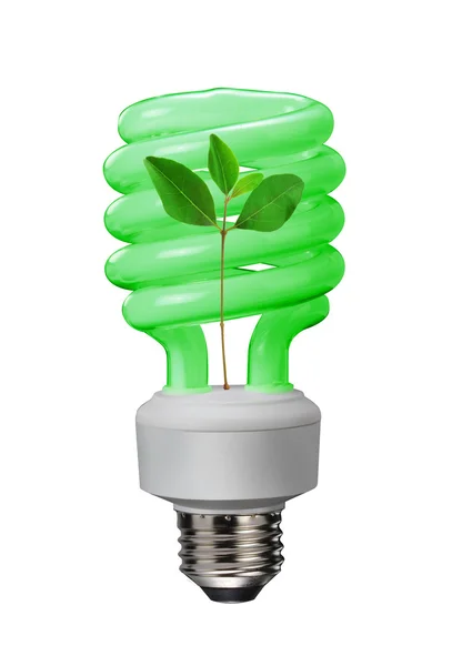 Növényi erő fluoreszkáló villanykörte. — Stock Fotó