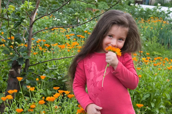 A lány és a virágok — Stock Fotó