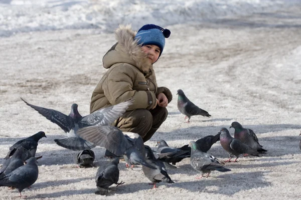 Çocuk ve güvercinler — Stok fotoğraf