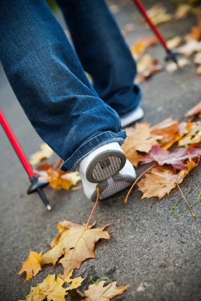 stock image Nordic walking race on autumn trail