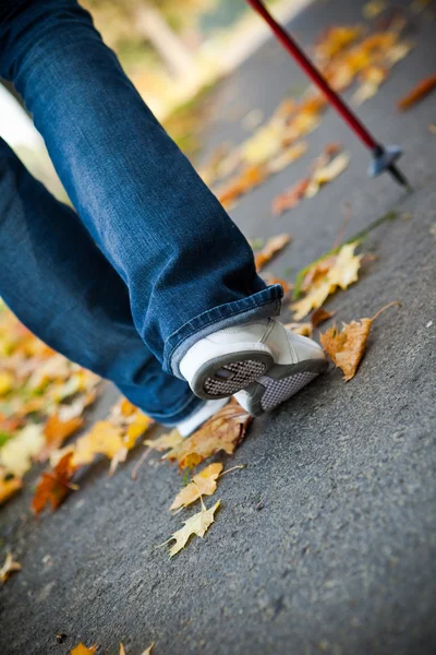 Carrera nórdica a pie en otoño —  Fotos de Stock