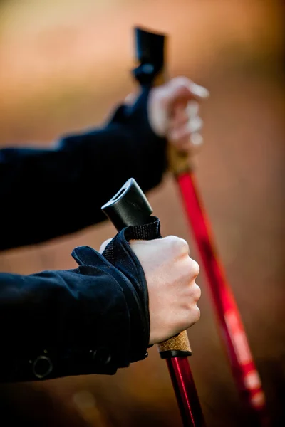 stock image Nordic walking in autumn nature - hands