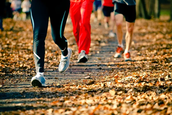 Corrida na corrida de outono — Fotografia de Stock
