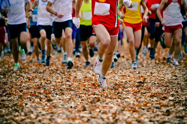 Correr en la carrera de otoño —  Fotos de Stock