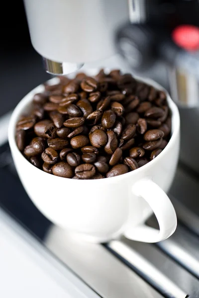 stock image Coffee beans in a cup