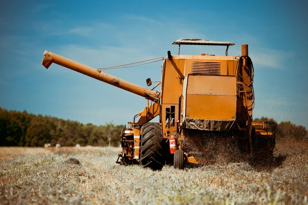 Buğday tarlasında çalışan hasat makinesini birleştirin. — Stok fotoğraf
