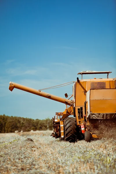 Combine harvester working in a wheat field — Stock Photo, Image