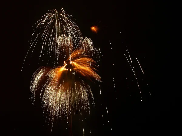 Fuochi Artificio Colorati Sullo Sfondo Del Cielo Nero — Foto Stock