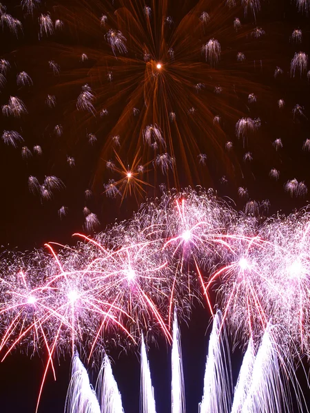 Fuochi d'artificio colorati sullo sfondo del cielo nero — Foto Stock