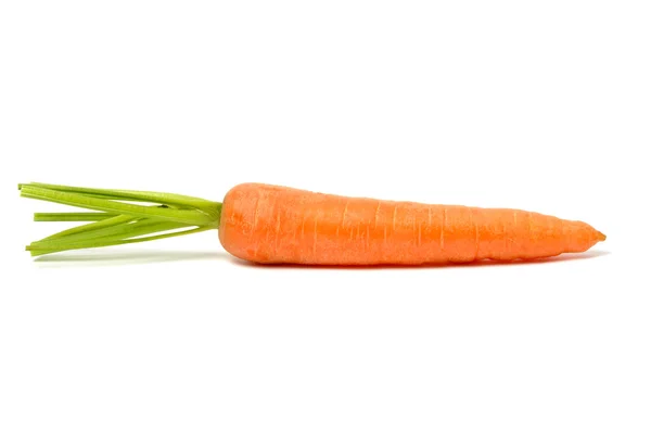 Zanahoria sobre blanco —  Fotos de Stock