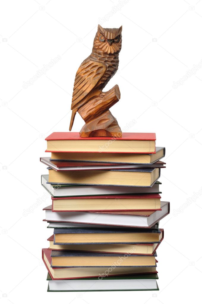 Wooden Owl and Books