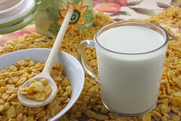 Flocos de milho e leite — Fotografia de Stock