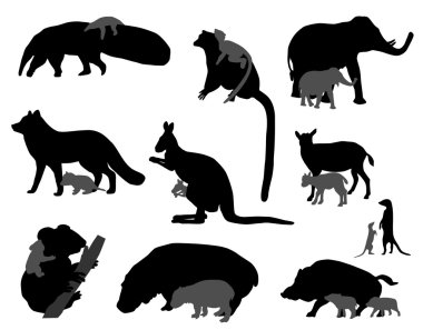 Animal kids clipart