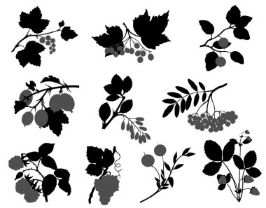 Berry silhouette clipart