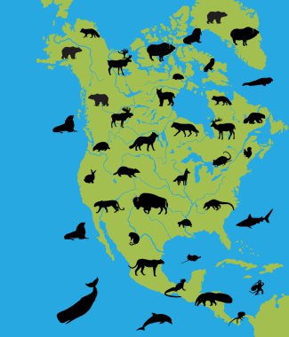 Animals of North America clipart