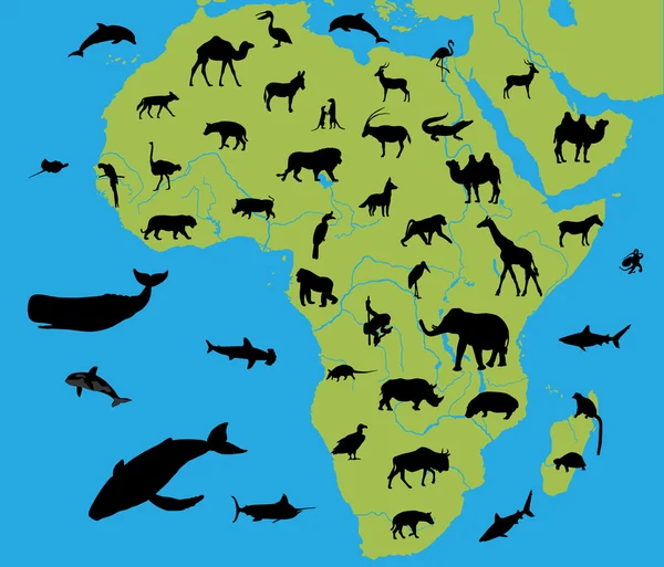 アフリカの動物 — ストックベクタ