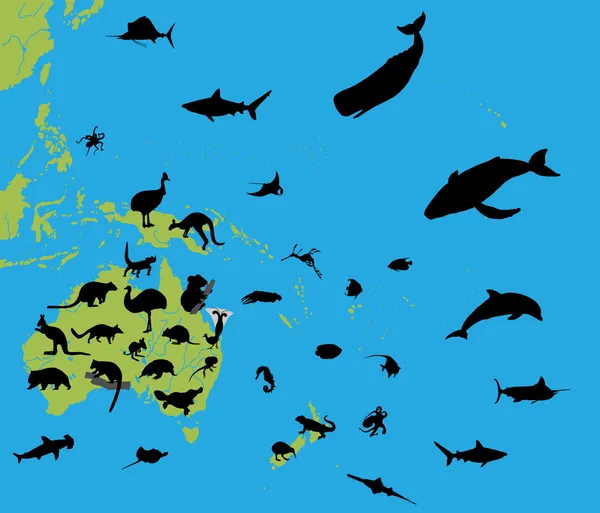 澳大利亚和大洋洲的动物 — 图库矢量图片