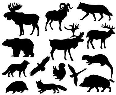 Animals of Europe clipart