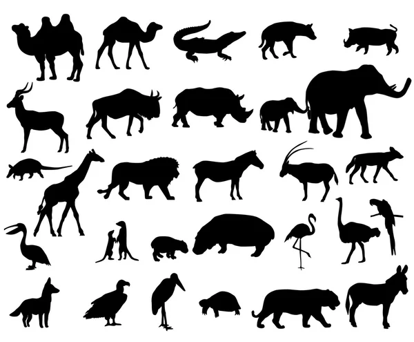 非洲的动物 — 图库矢量图片