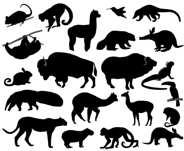 北美洲和南美洲的动物 — 图库矢量图片