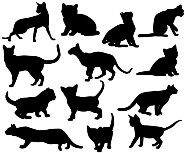 Silhuetter av katter — Stock vektor