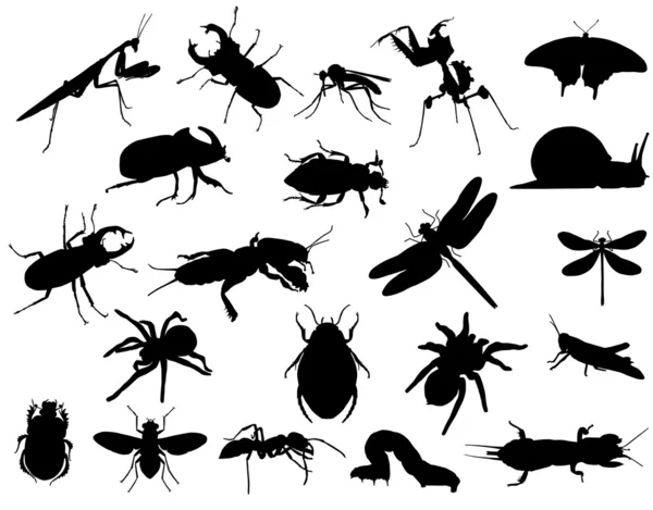 Insectos — Vector de stock